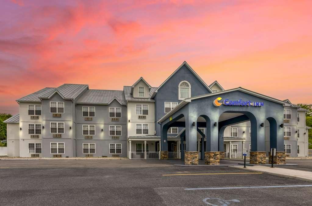 Max Meadows Comfort Inn Wytheville - Fort Chiswell מראה חיצוני תמונה