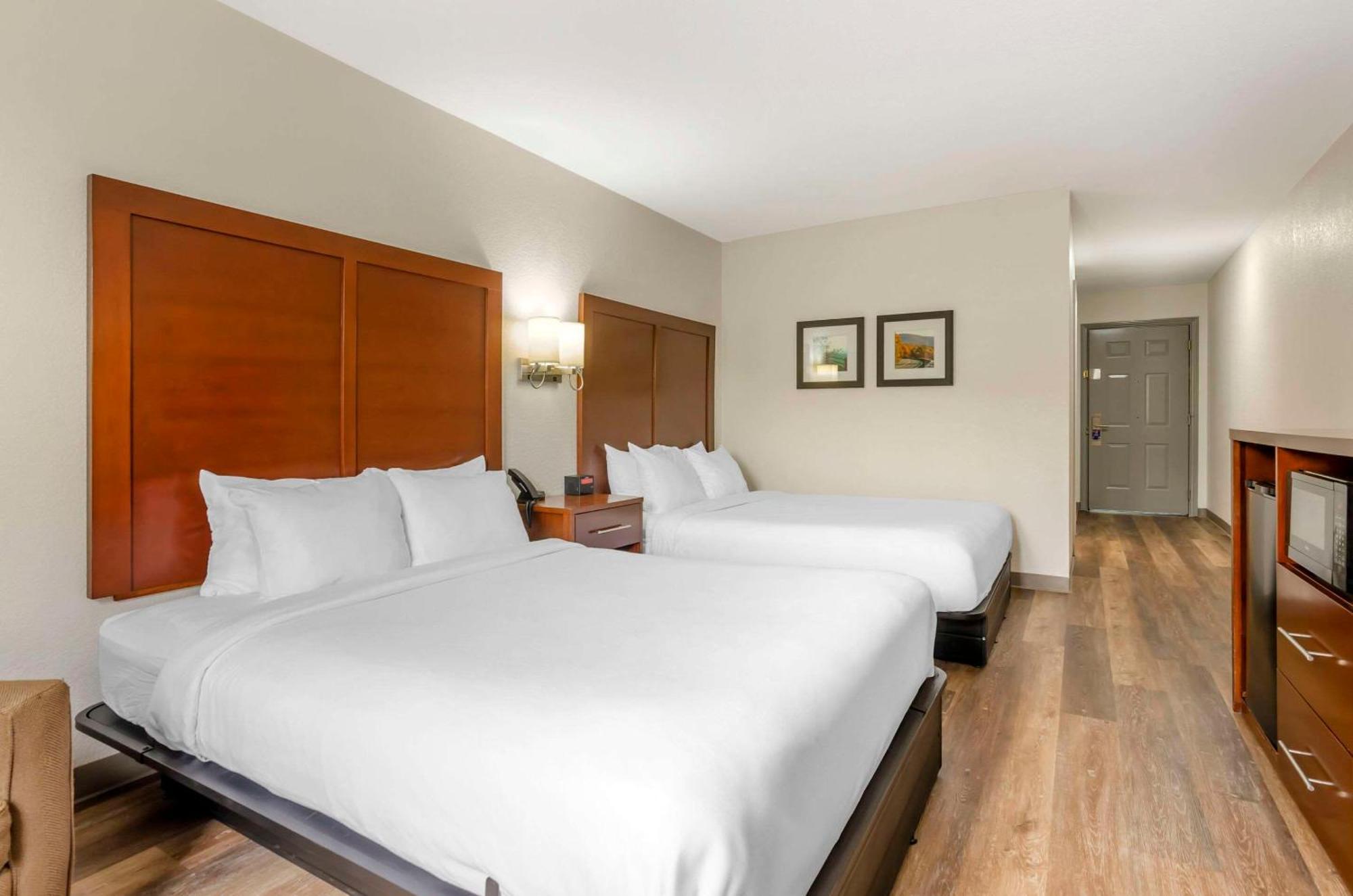 Max Meadows Comfort Inn Wytheville - Fort Chiswell מראה חיצוני תמונה